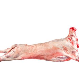 Whole Lamb